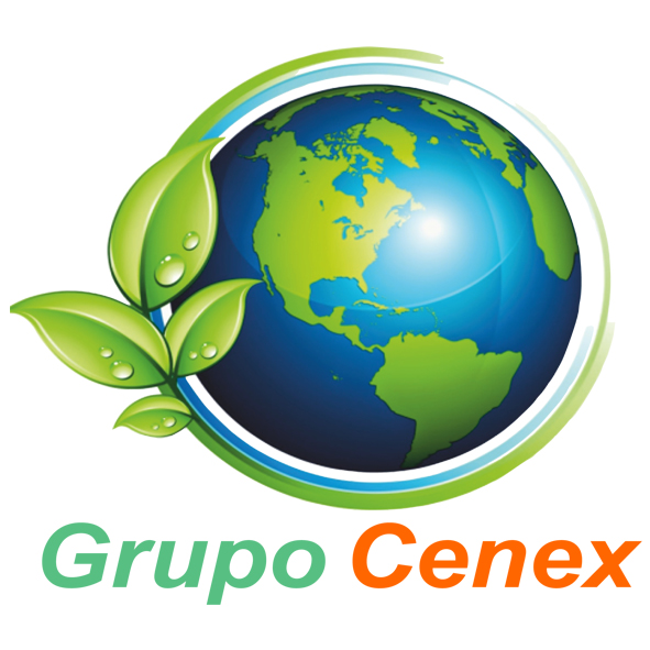 Grupo Cenex